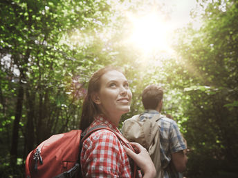 Wunderbarer Wander- Harz