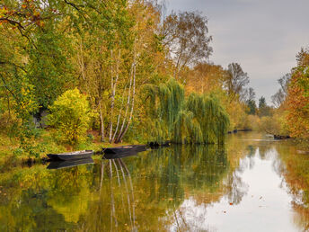 Herbstgold im Spreewald