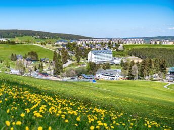 4 Tage Wohlfühl-Wellness mit Waldbaden in Oberwiesenthal