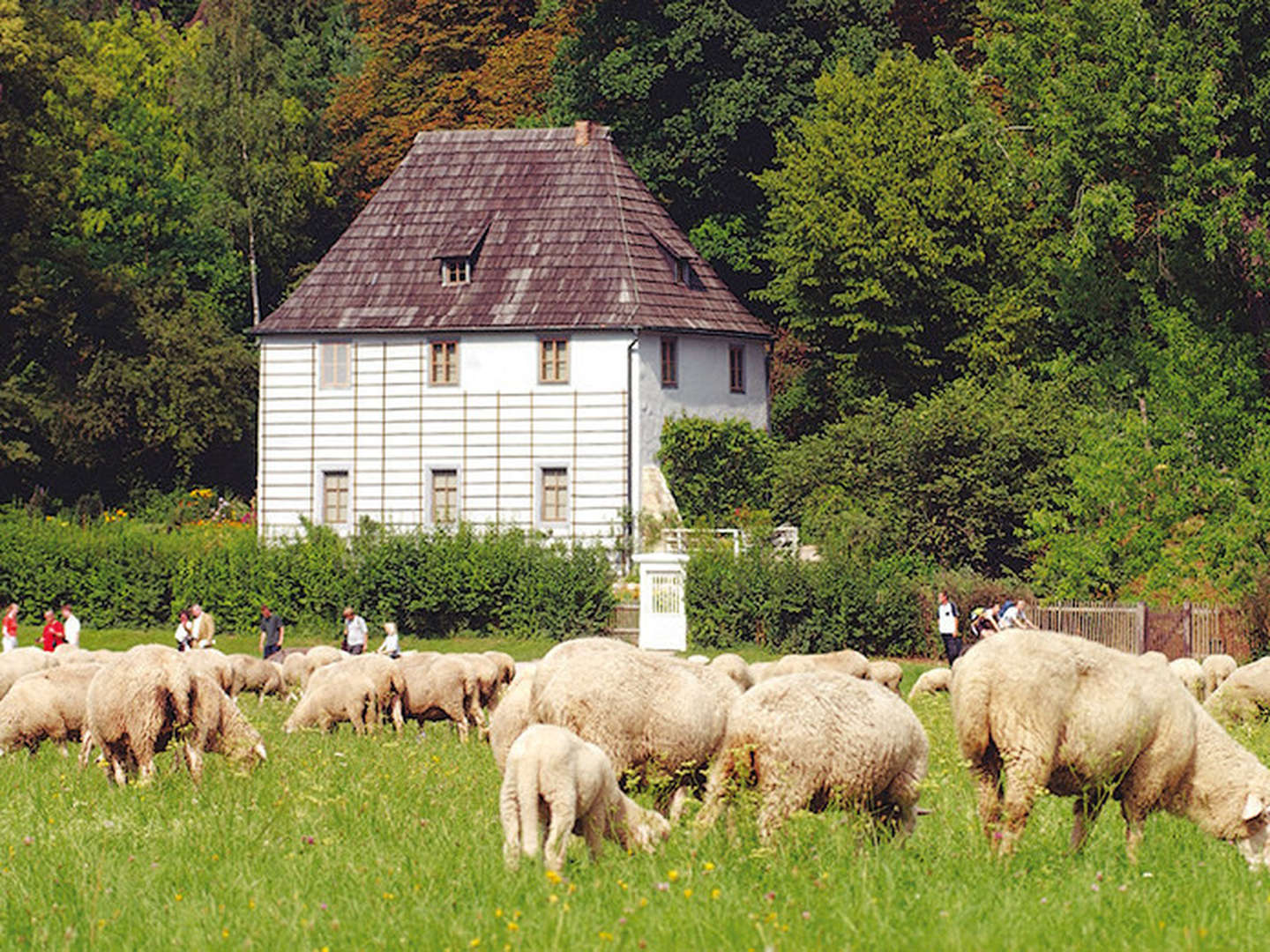 Kleine Auszeit in Weimar - 1 Tag