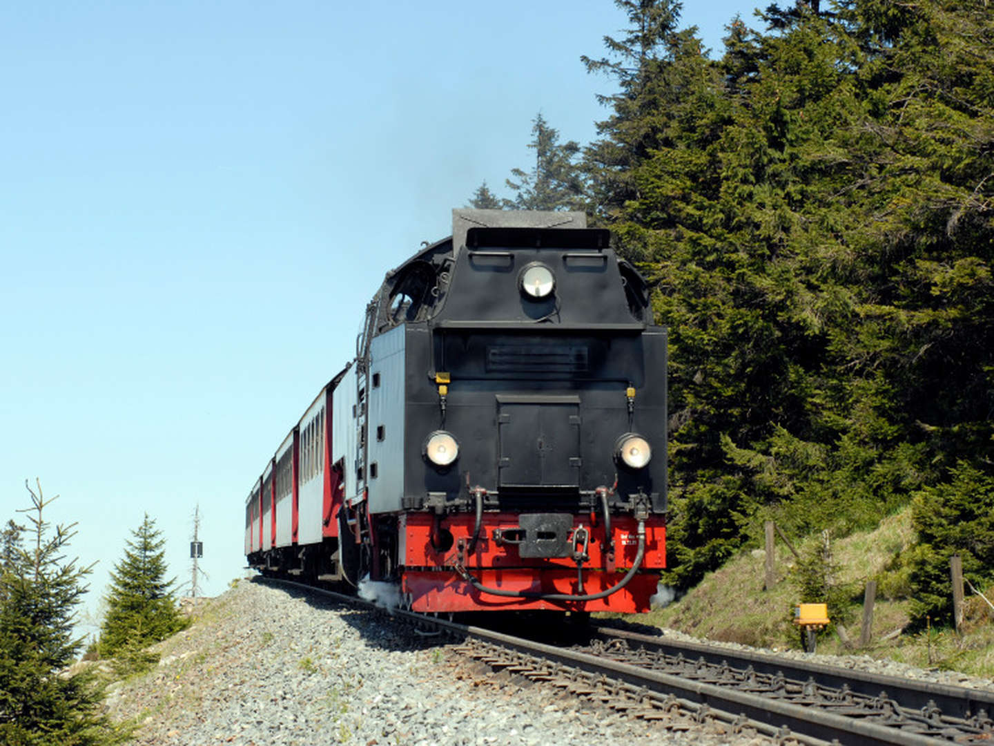 Die Wipfel der Bäume erkunden im Baumwipfelpfad Bad Harzburg