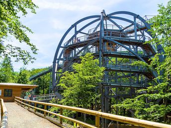 Die Wipfel der Bäume erkunden im Baumwipfelpfad Bad Harzburg