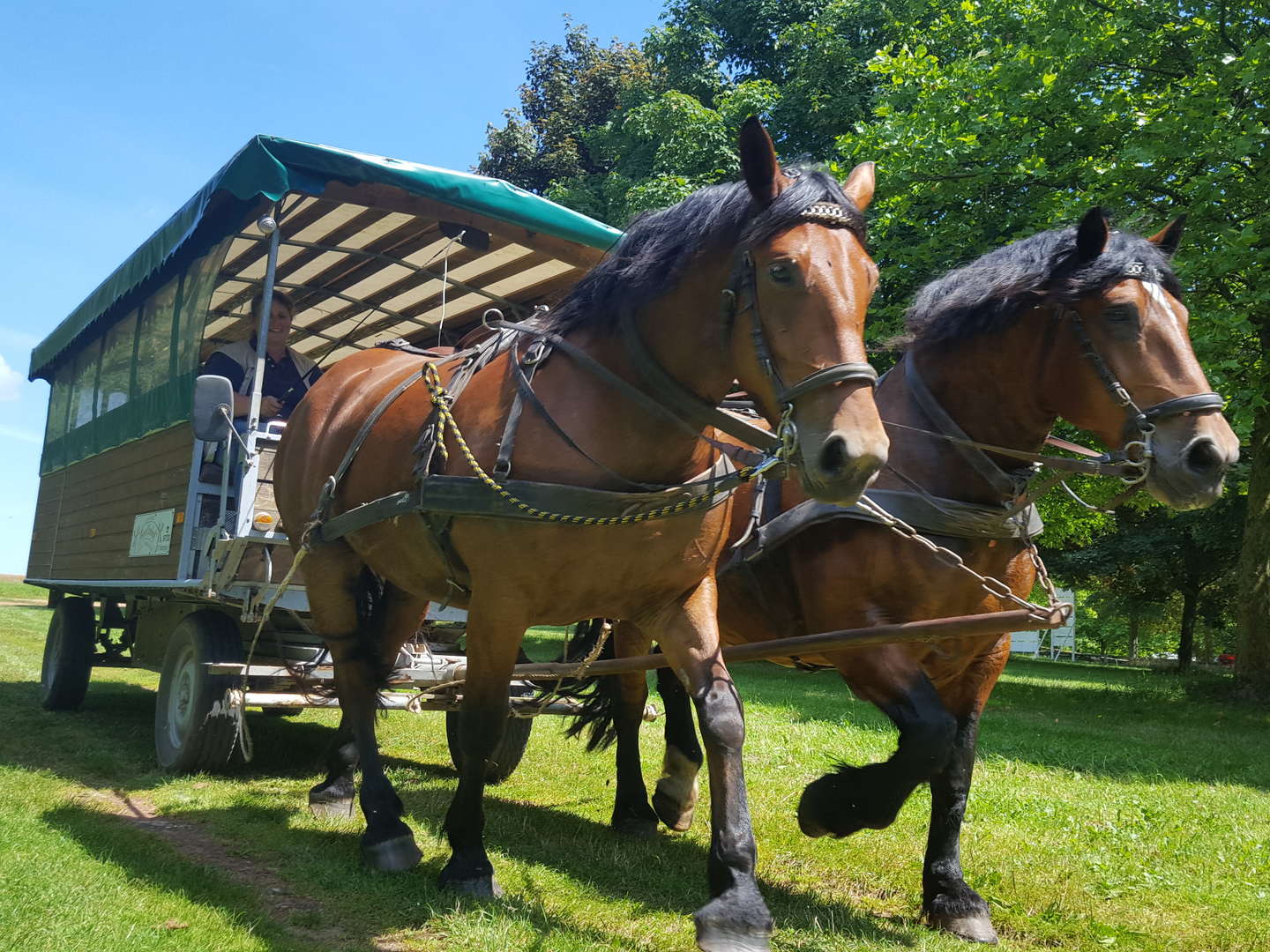 Genießer- Auszeit im Grünen in der Lüneburger Heide inkl. Abendessen