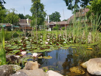 Genießer- Auszeit im Grünen in der Lüneburger Heide inkl. Abendessen