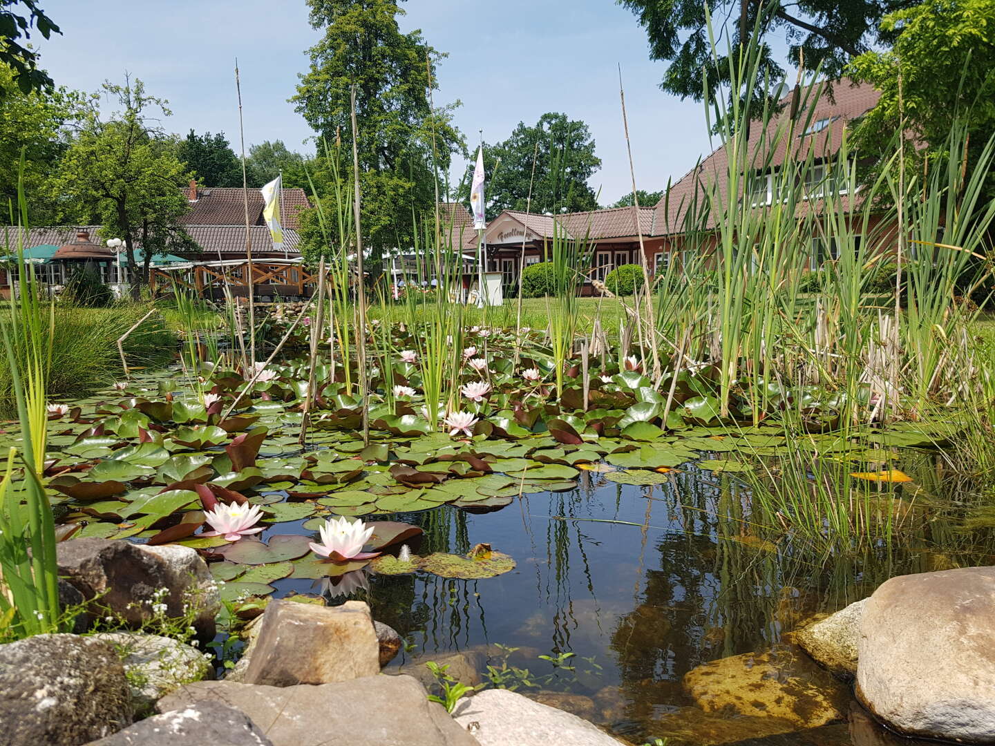 Genießer- Auszeit im Grünen- 4 Tage in der Lüneburger Heide   