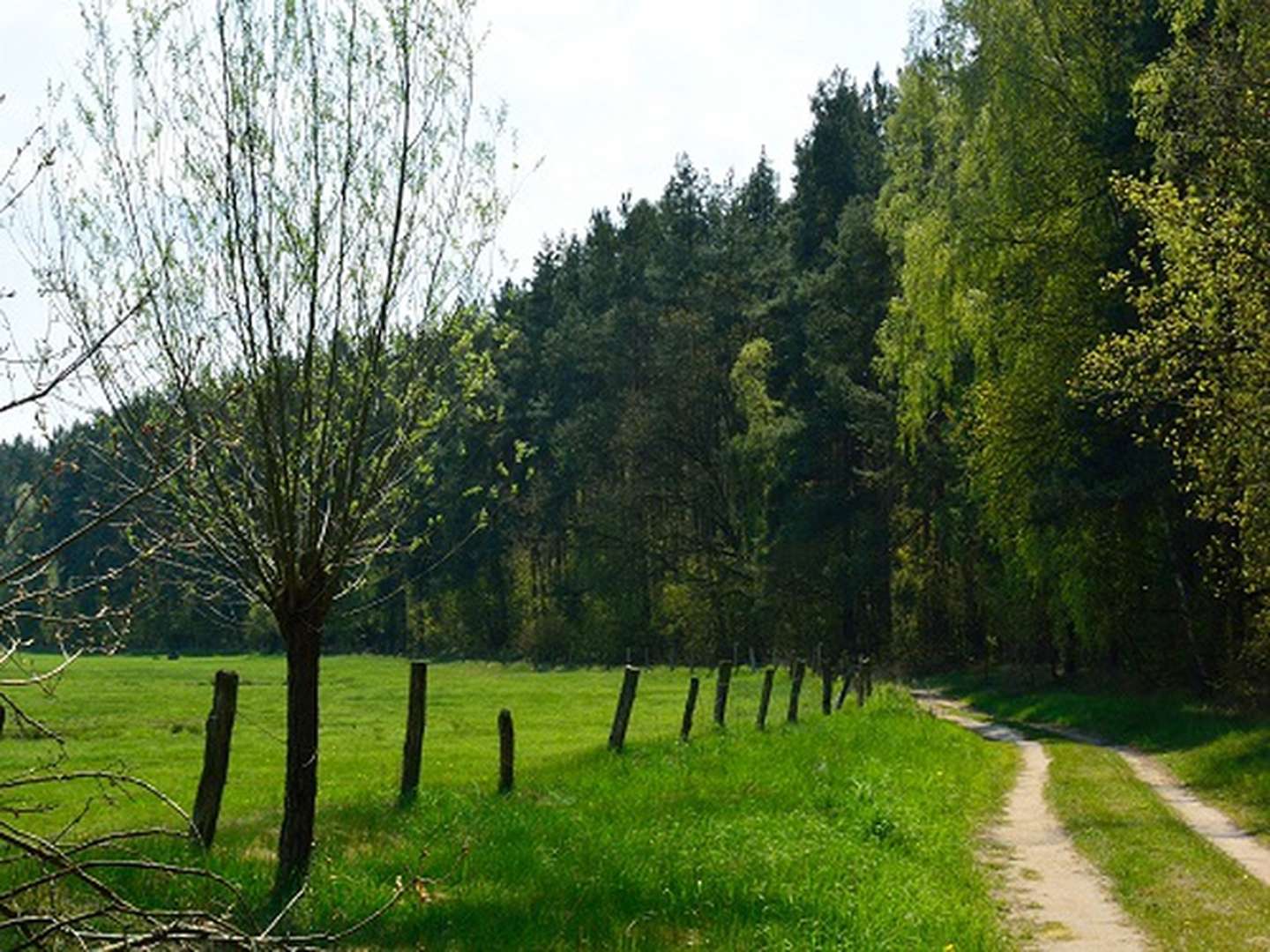 Kurzurlaub - den gönn ich mir an der Müritz I 3 Nächte