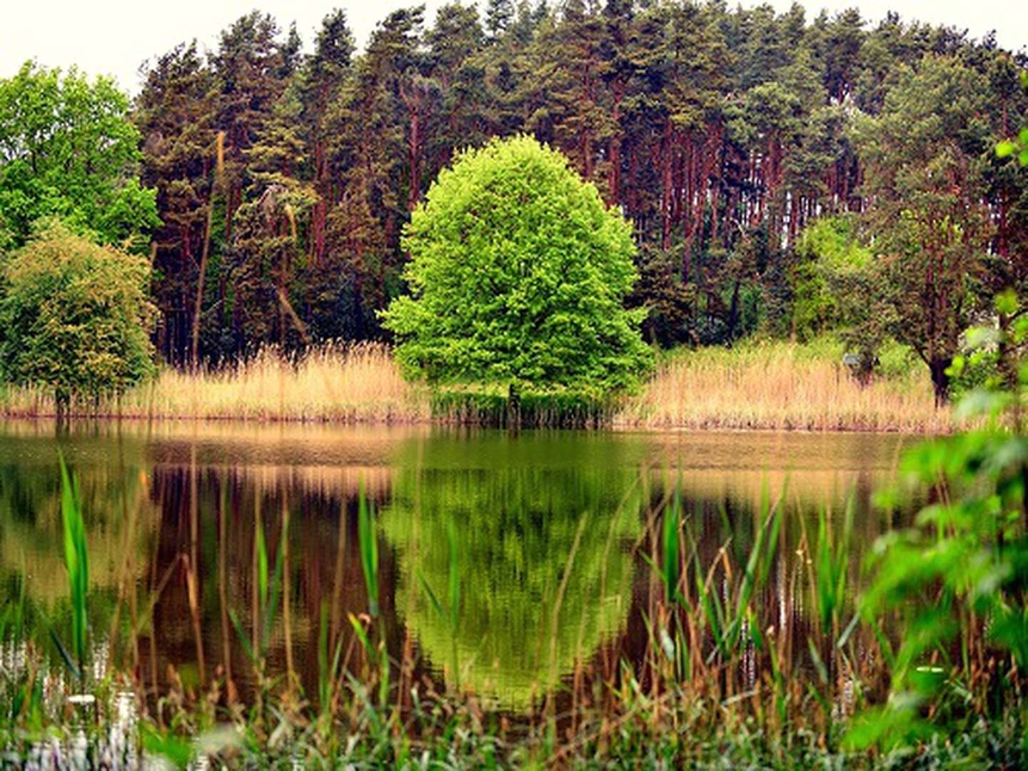 Kurzurlaub - den gönn ich mir an der Müritz I 2 Nächte