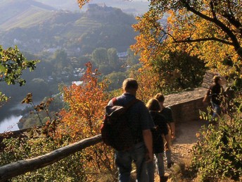 3=4 Entspannung in Rheinland-Pfalz inkl. Weinprobe in der Region Rhein - Hunsrück - Nahe