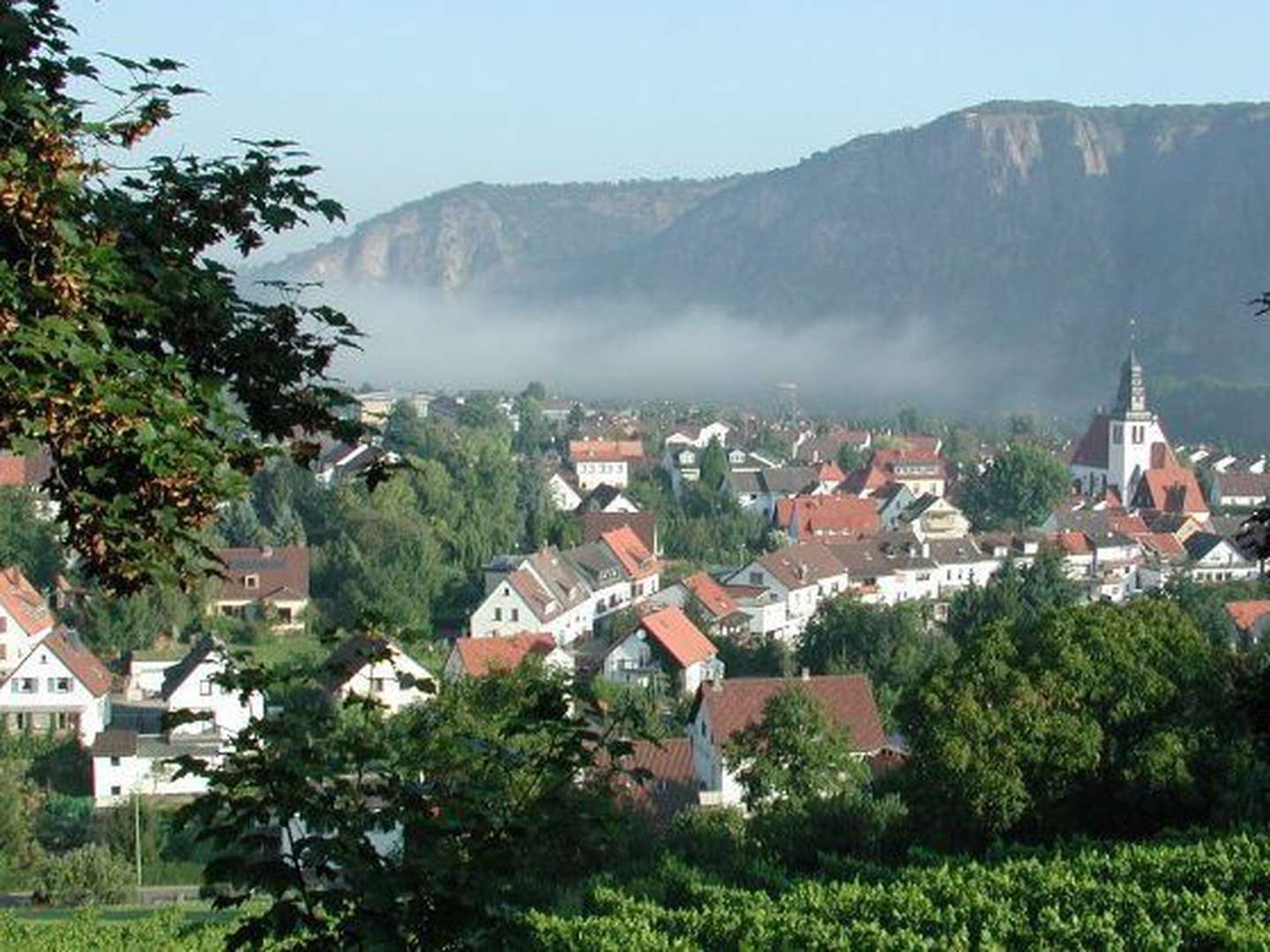 Eine Woche in der Natur inkl. Weinprobe in der Region Rhein - Hunsrück - Nahe