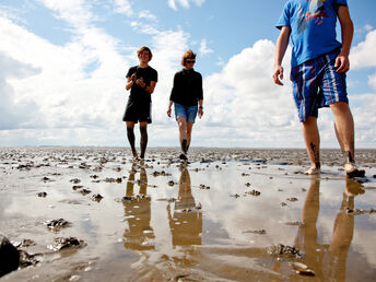 Einsame Strände -  5 Tage Natur an der Nordsee genießen 