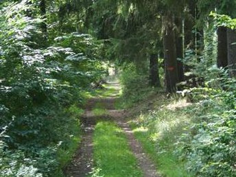 Kurzurlaub im SonnenBlick im hessischen Bergland