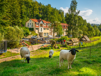 Feinschmecker on Tour - Wandern auf dem berühmten Rennsteig 