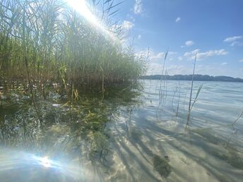 Fahrradurlaub am Plauer See inkl. Lunchpaket & Leihfahrrad 2 Tage 