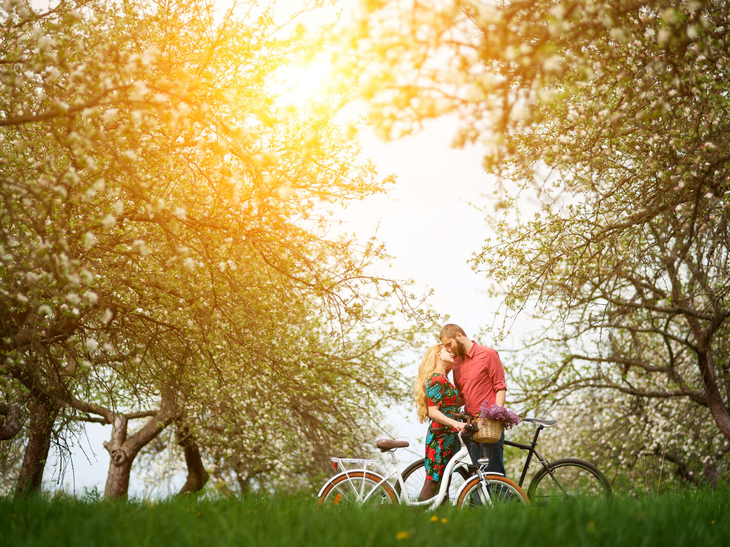 Fahrradurlaub am Plauer See inkl. Lunchpaket & Leihfahrrad 2 Tage 