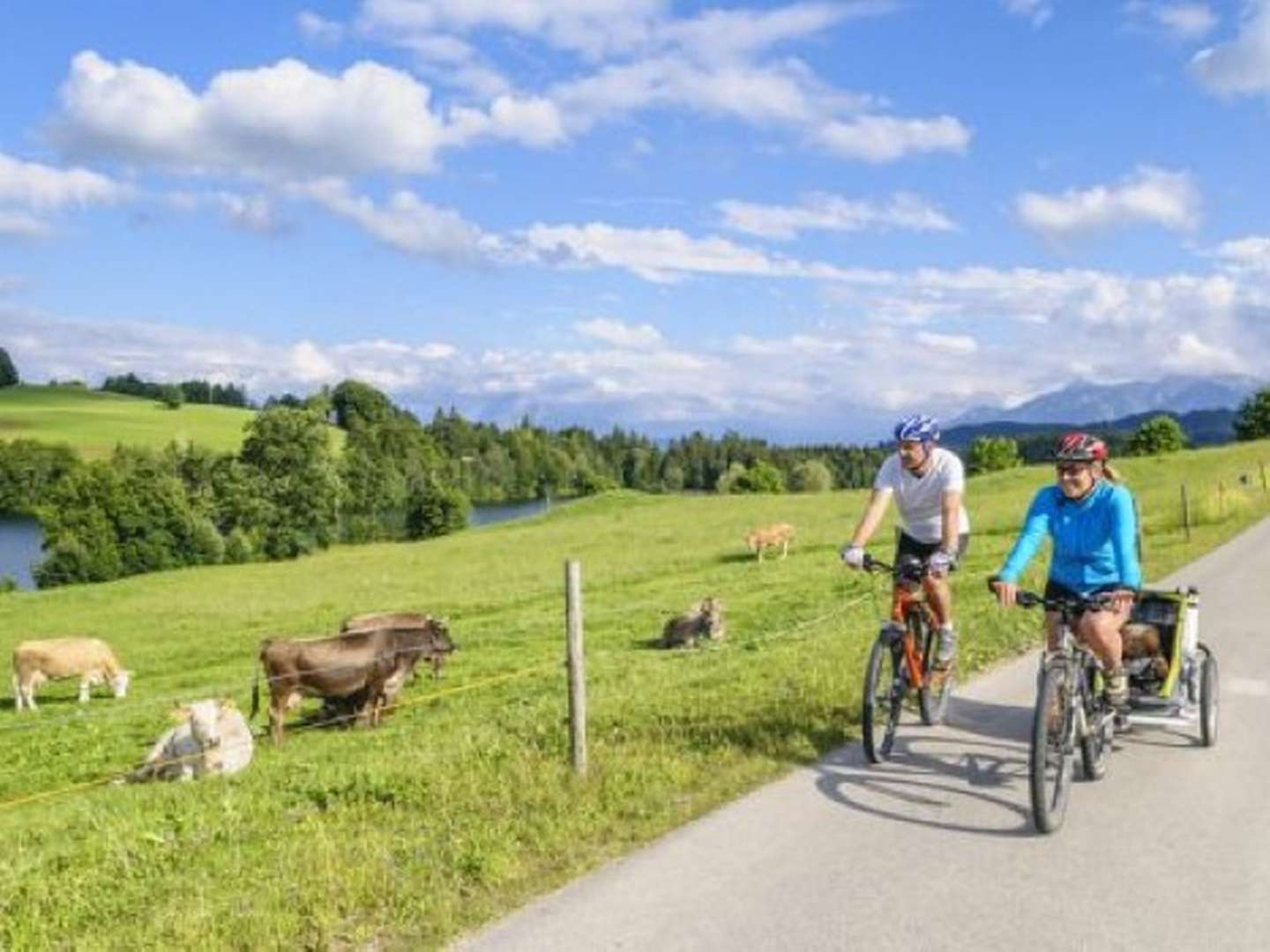 Mit dem Lama im Allgäu unterwegs!