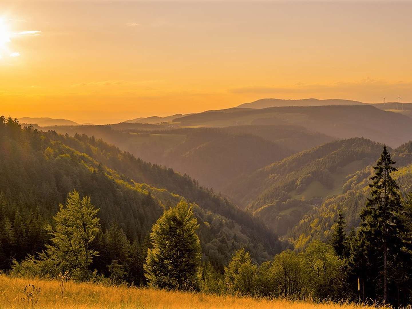 Wandern / Wärmen / Wohlfühlen / Genießen im Schwarzwald