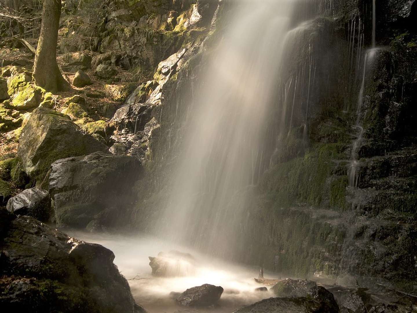 Wandern / Wärmen / Wohlfühlen / Genießen im Schwarzwald