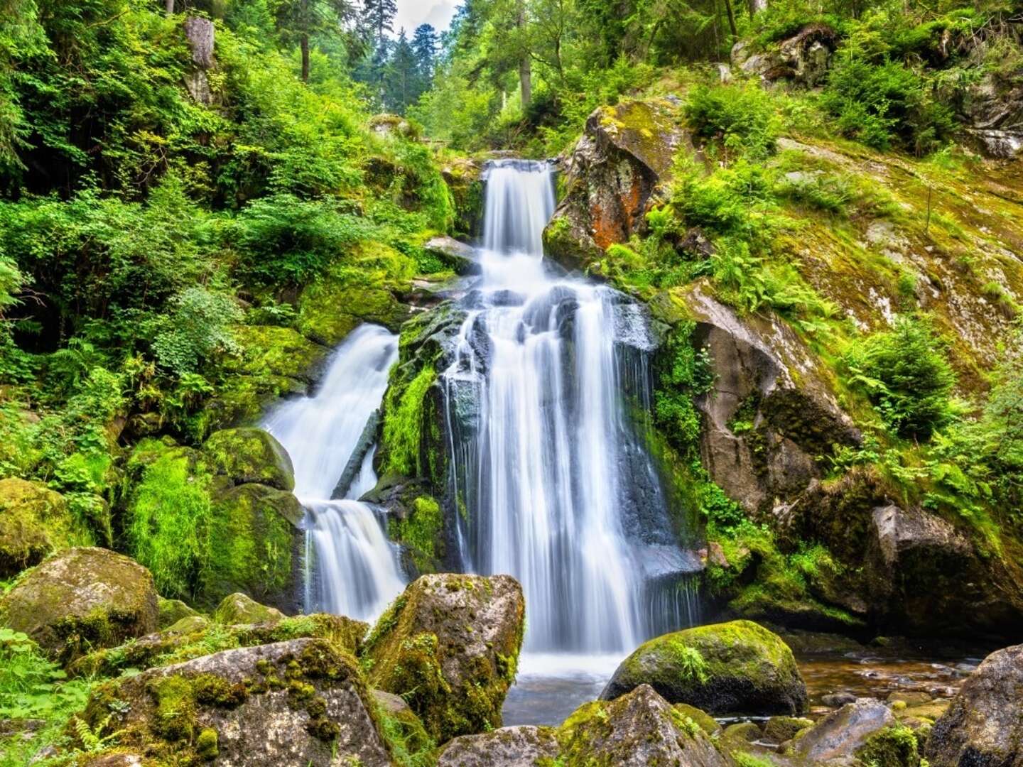 Wandern / Wärmen / Wohlfühlen / Genießen im Schwarzwald