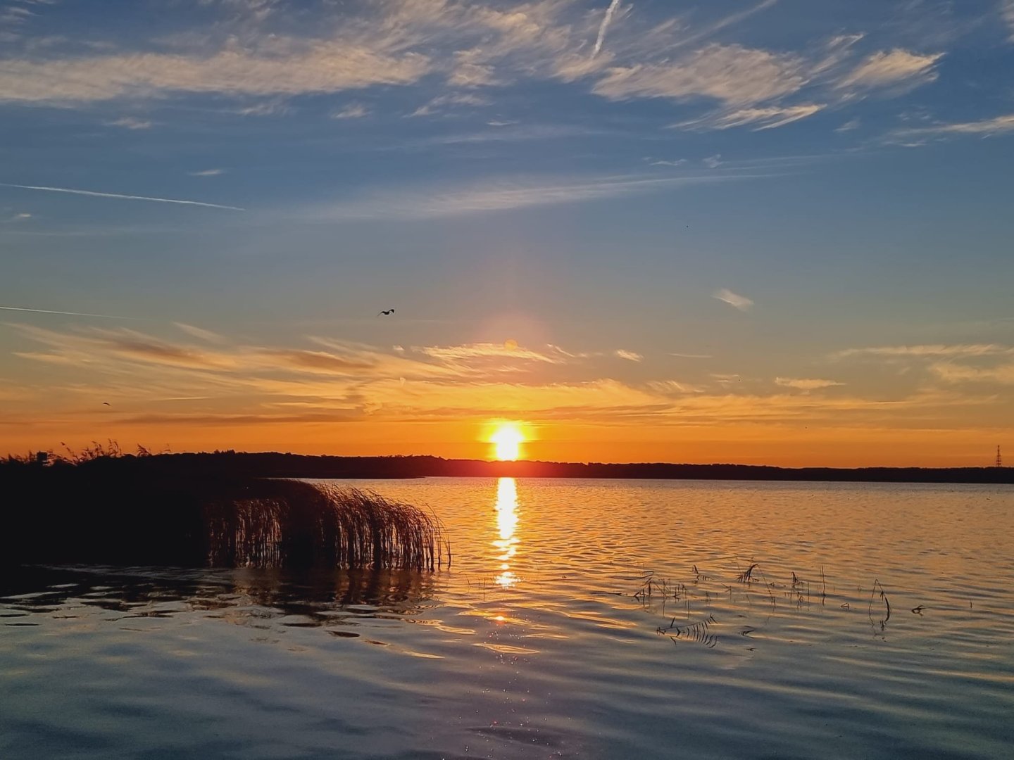 7 Nächte - 6 bezahlen! Ihr Kurzurlaub mit 1x Halbpension im Seebad Ueckermünde 