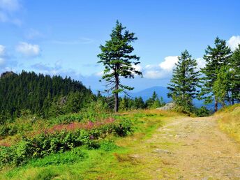 Kurztrip mit Bäckereigenuss im Bayerischen Wald 