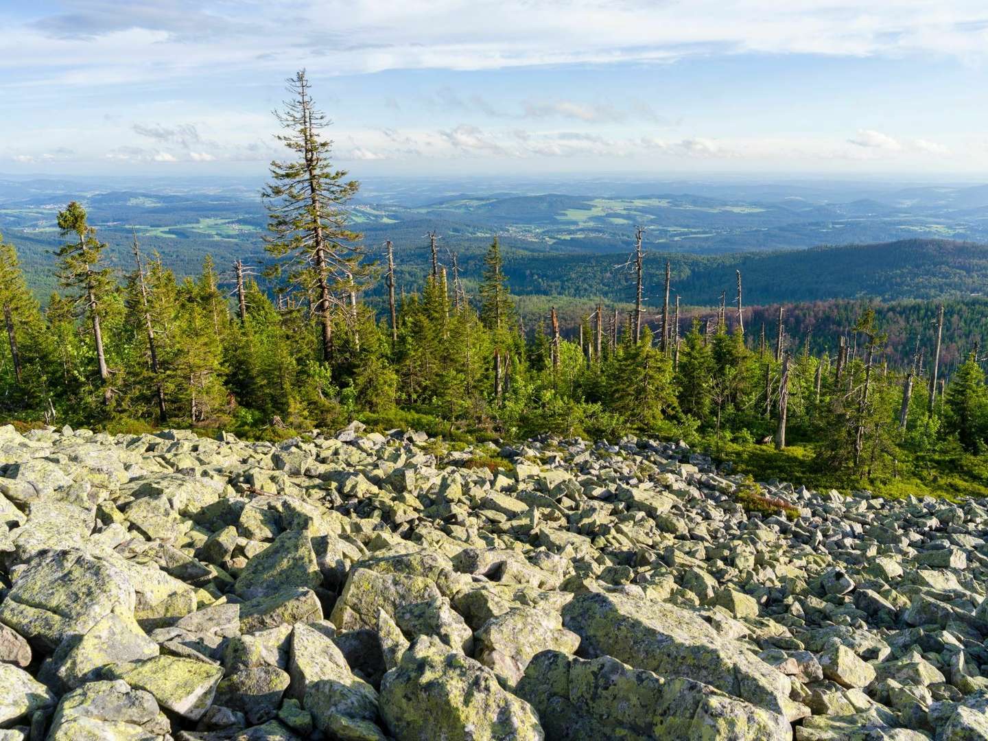 HOCHhinaus Wandern im Bayerischen Wald  4 Tage