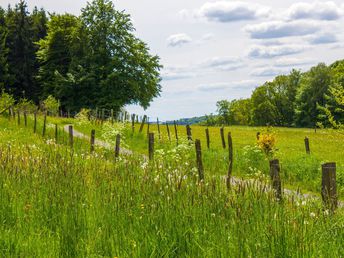 3 Tage Schlemmer und Verwöhnwochenende im Bierenbacher Hof in Nümbrecht