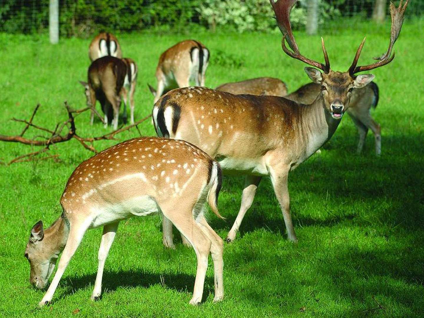 2 Tage - Auszeit im Osnabrücker Land & am Teutoburger Wald 