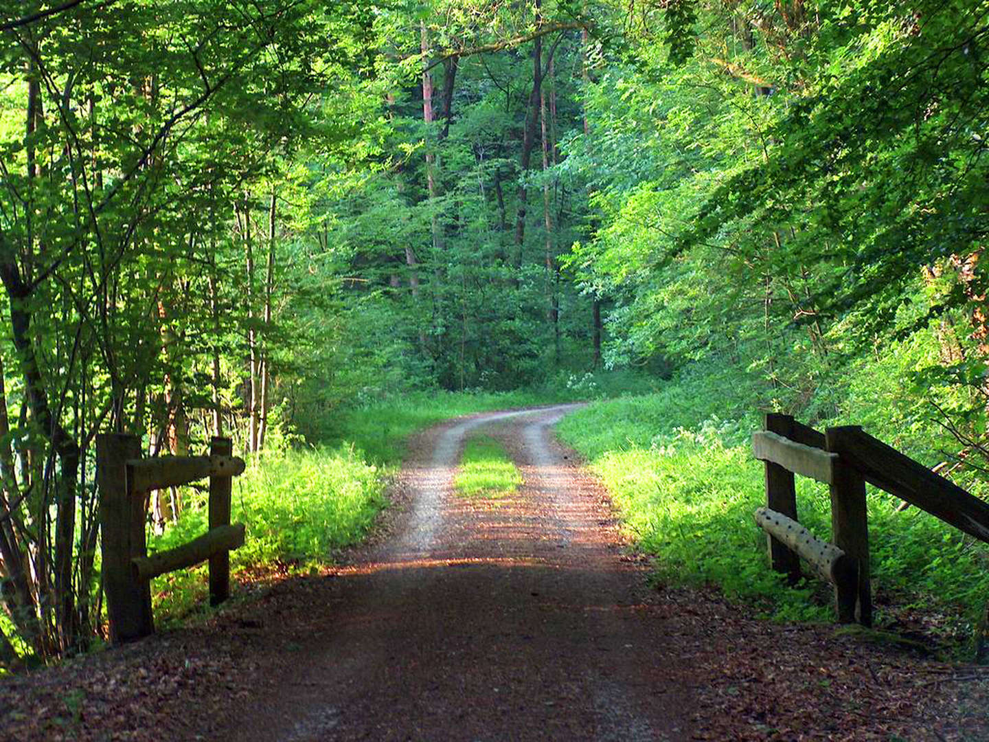 2 Tage - Auszeit im Osnabrücker Land & am Teutoburger Wald 