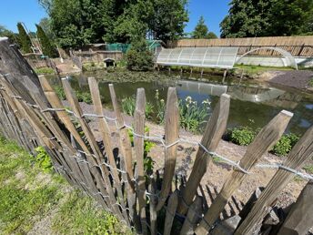 4 Entdeckertage am Rande des Vogelsberges inkl. HP