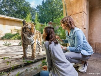 2 Tage | WINTER SAISON - Familienzeit in der Region Hannover - Mit Besuch im ZOO 