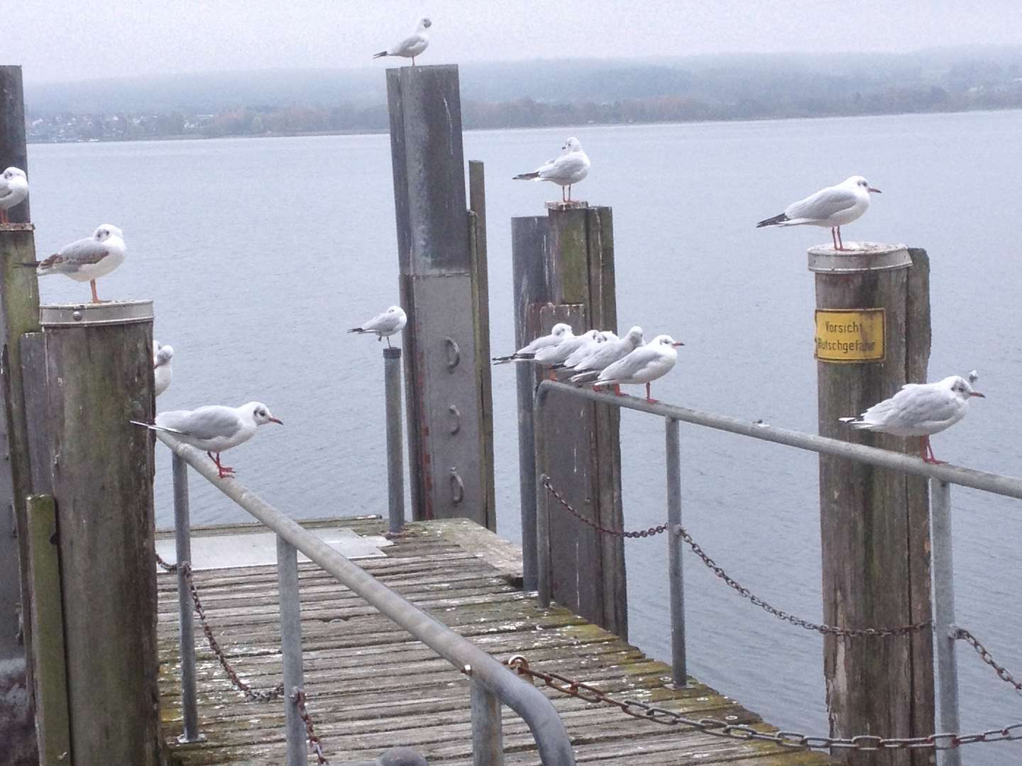 Bodenseewoche zum ERHOLEN