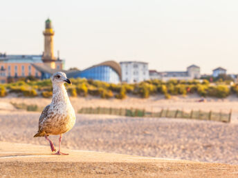 Erholsame Urlaubstage in Rostock inkl. Abendessen