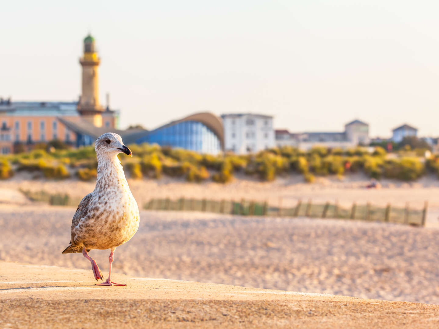 Silvester-Arrangement an der Ostsee 