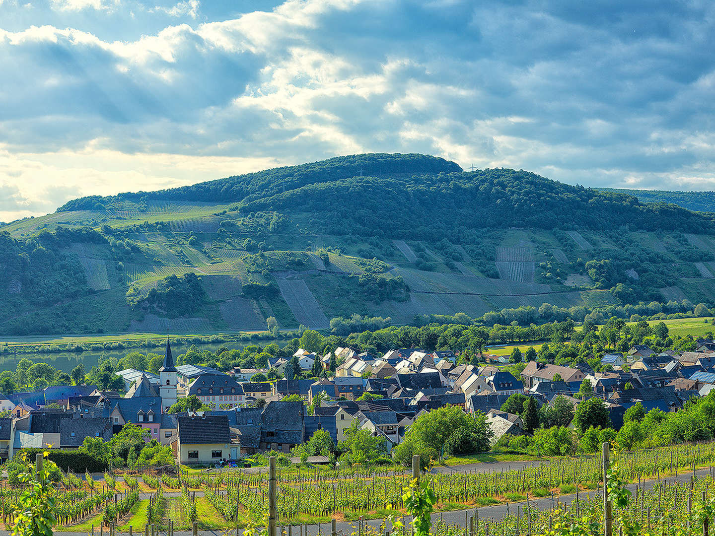 Moselreise - Genießertage inkl. Schifffahrt und Weinprobe - 4 Tage