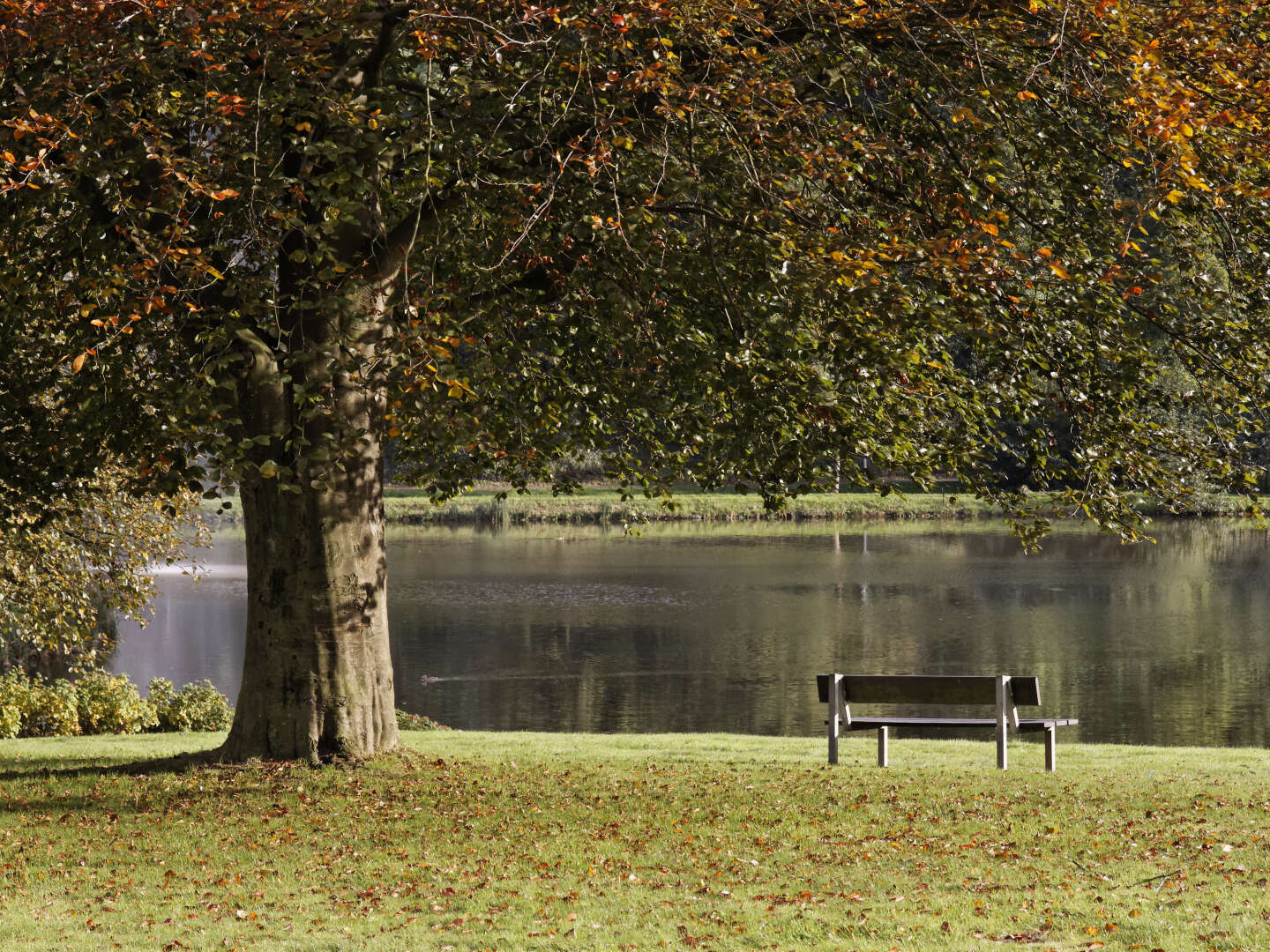 Auszeit am Teutoburger Wald | 4 Tage 