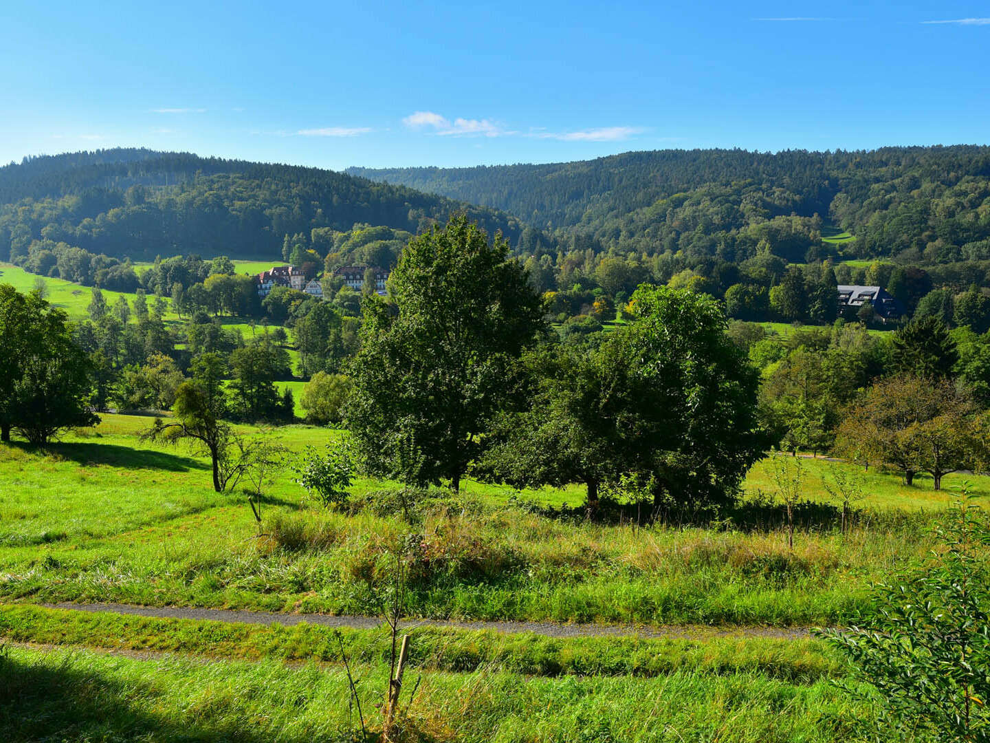 Classic Wellness - grosses Wohlfühlprogramm in Bad Orb