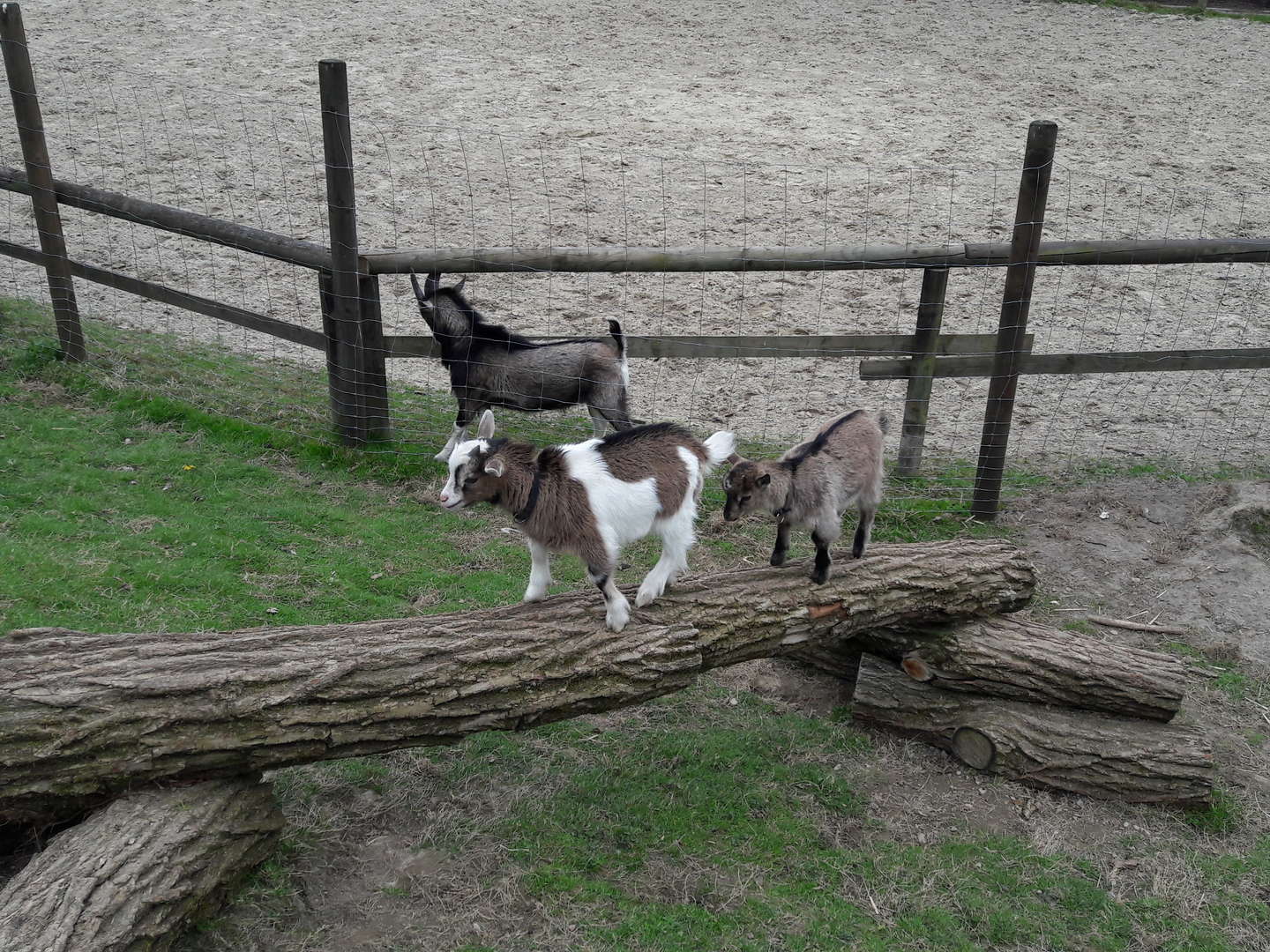 Genießen & Sparen im Sauerland inkl. 3-Gang -& 4-Gang-Menü