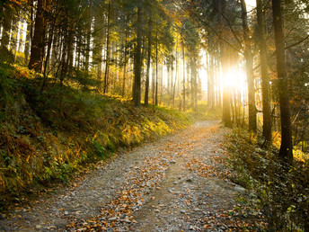 3 Tage Verwöhn Wochenende mit Wellness in der Eifel inkl. Halbpension & Massage