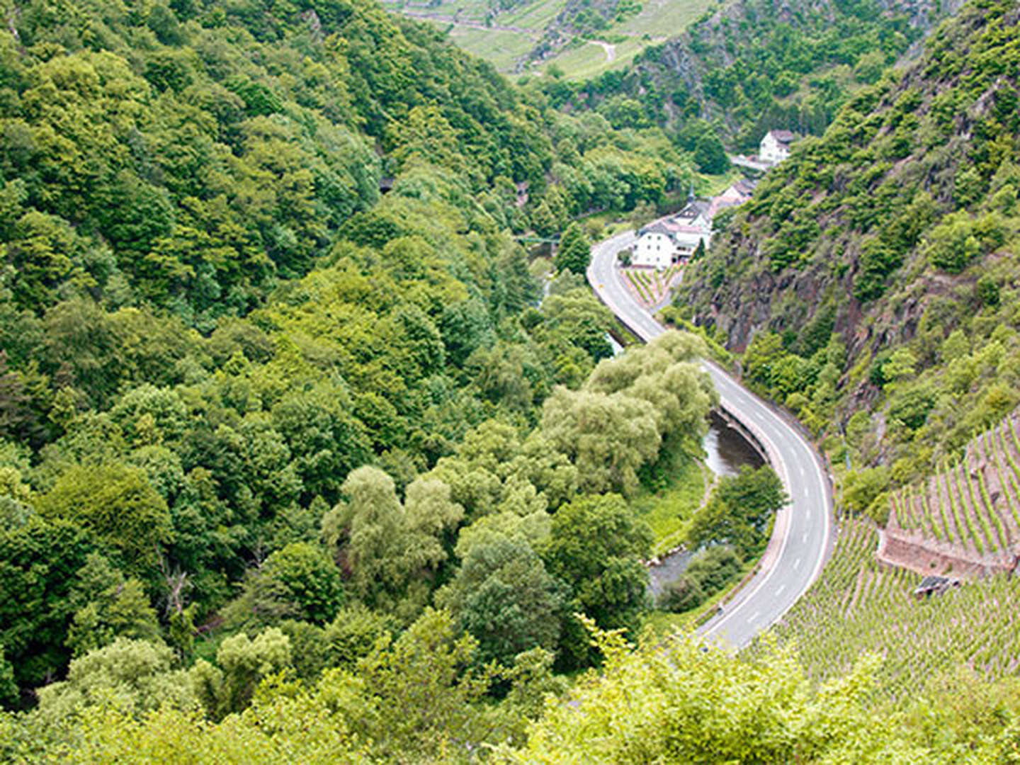 3 Tage Verwöhn Wochenende mit Wellness in der Eifel inkl. Halbpension & Massage