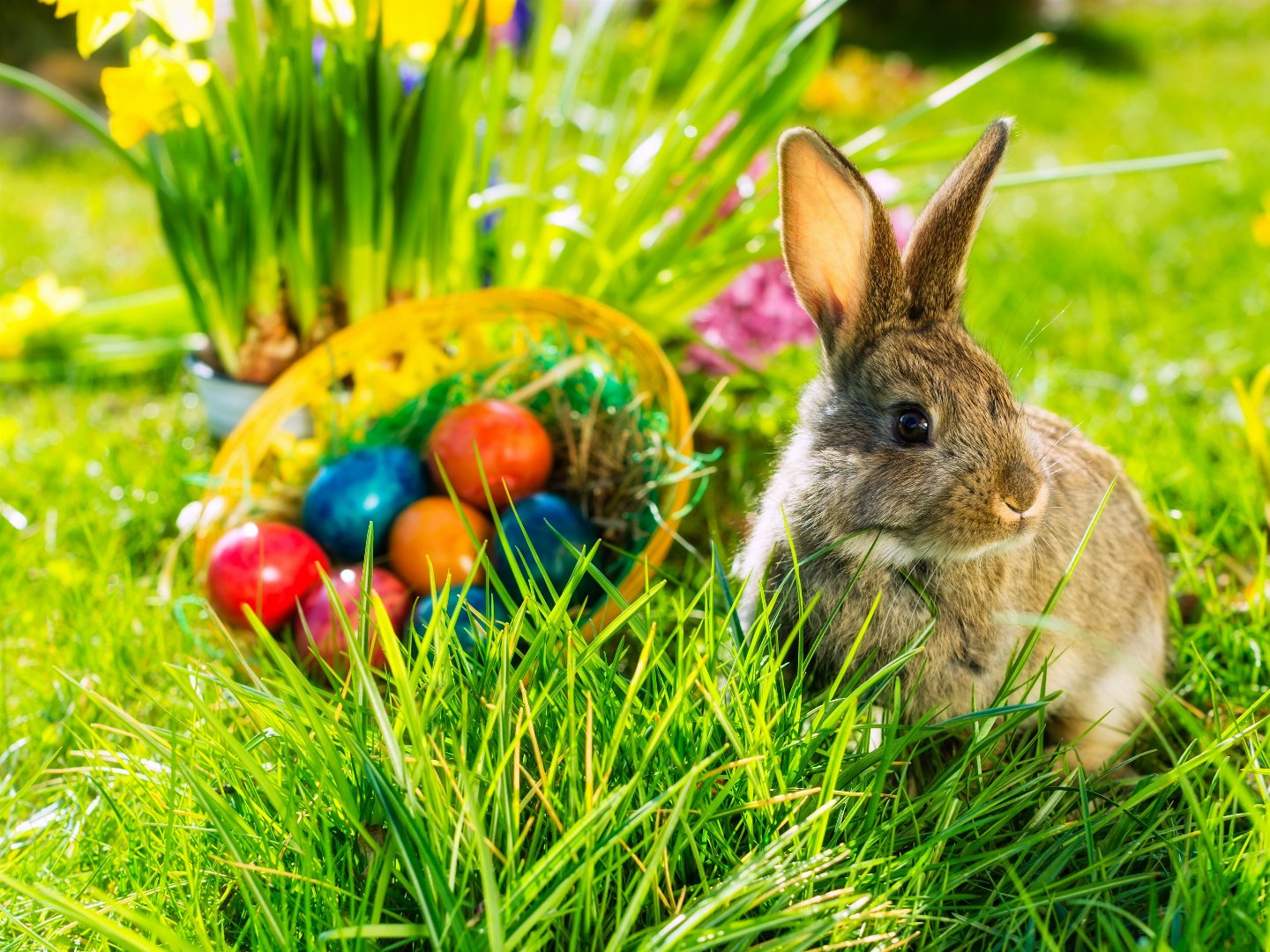 Ostern in Bayern - Franken-Therme - Ferien 