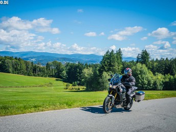 Sommerhitt im Waldfrieden 