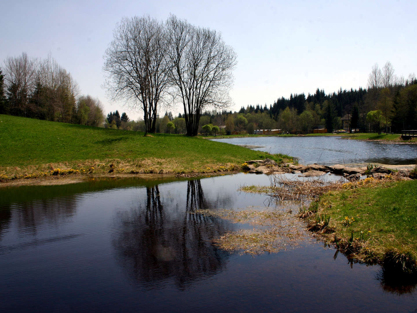 Herbstausklang im Waldfrieden 