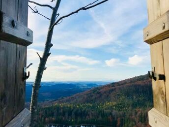 Jahreswechsel im Waldfrieden 