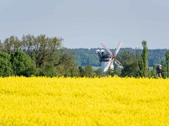 4 Tage Natur-Urlaub im Grünen vor den Toren Hamburgs