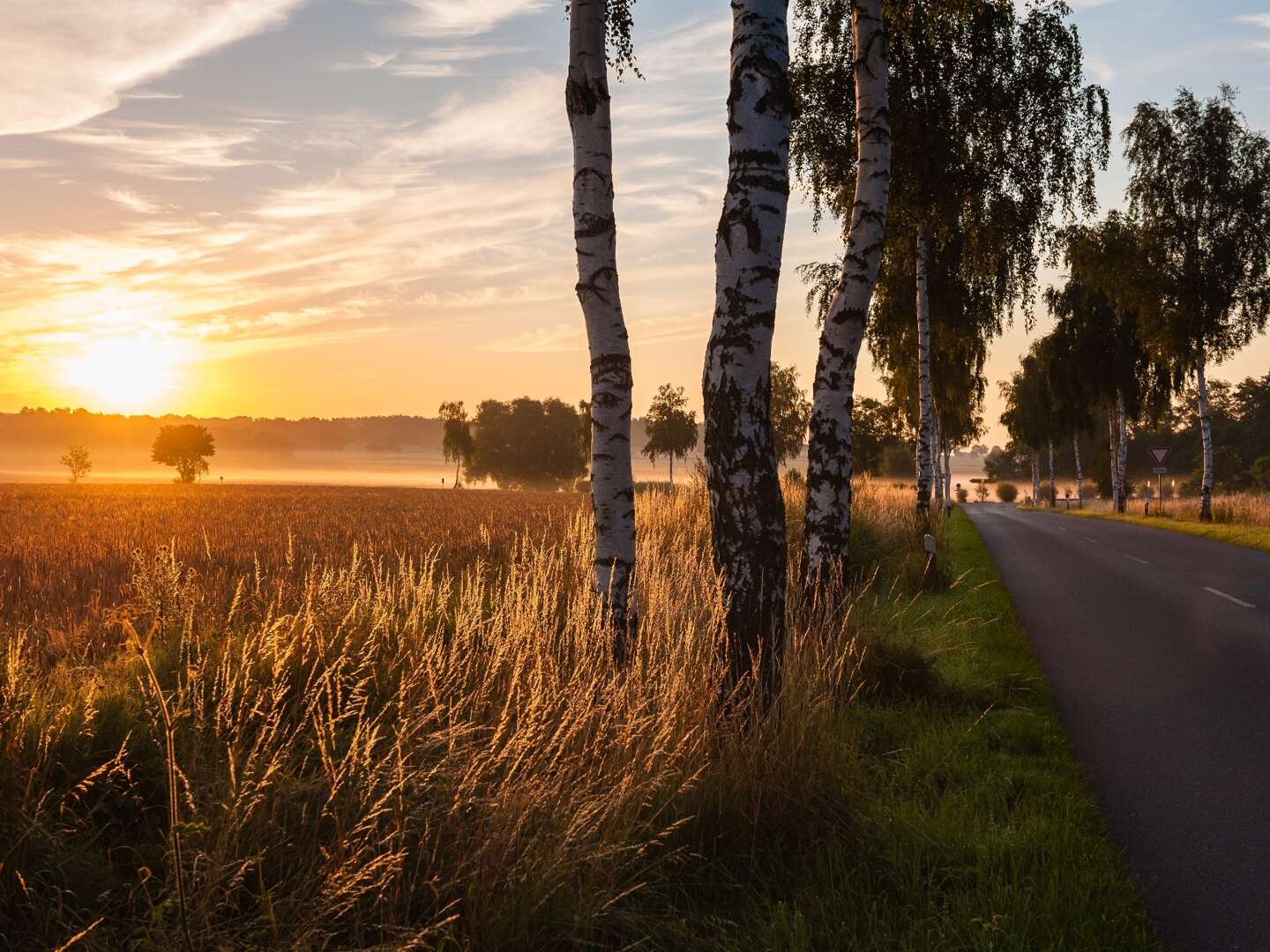 4 Tage Natur-Urlaub im Grünen vor den Toren Hamburgs