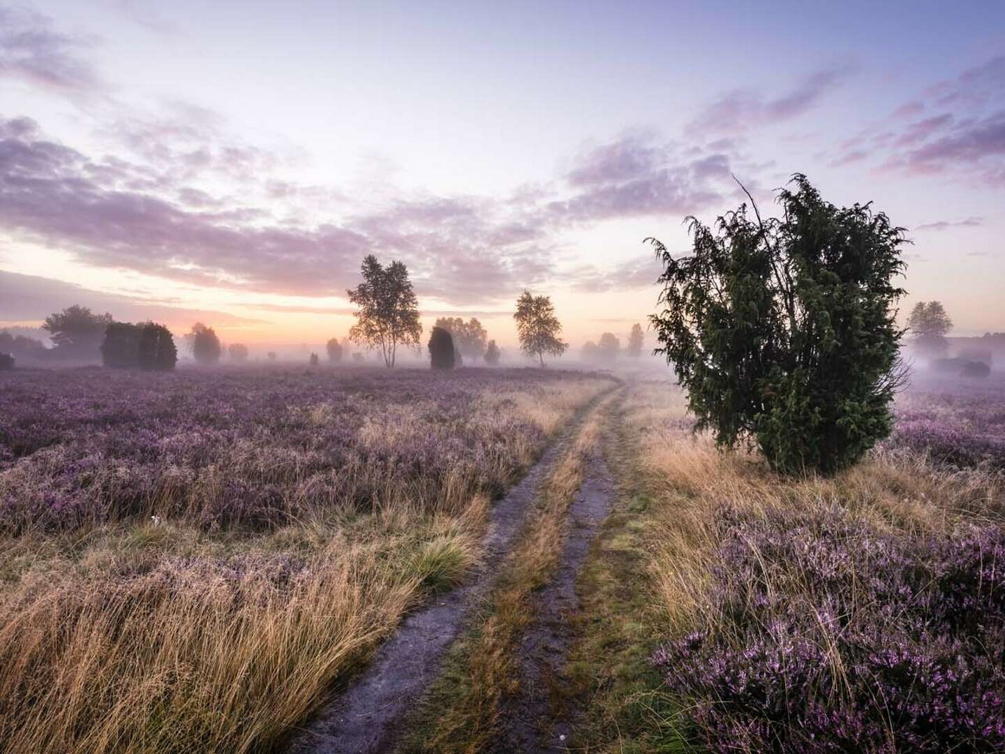 2 Tage Natur-Urlaub im Grünen vor der Metropole Hamburg