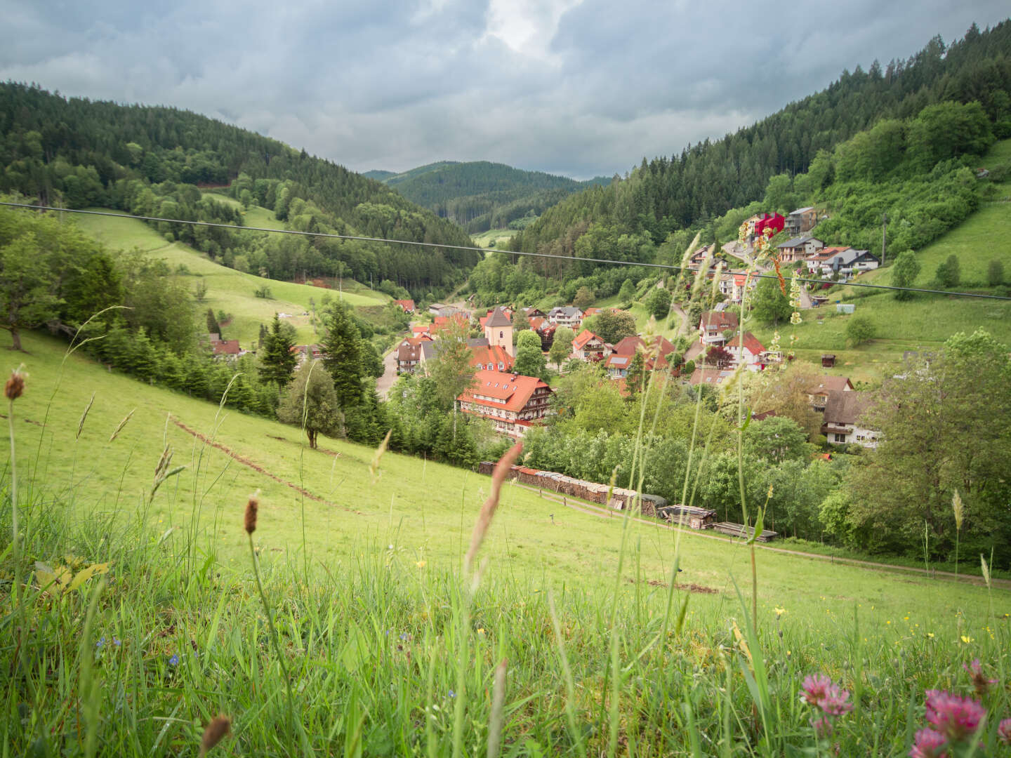 Wandern im Schwarzwald 3 Tage