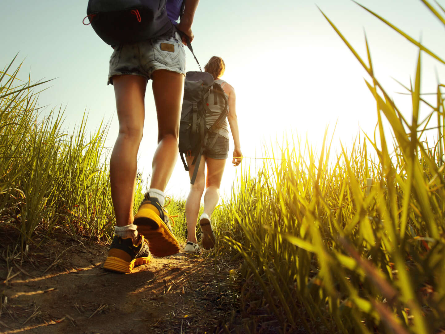 Wandern im Schwarzwald