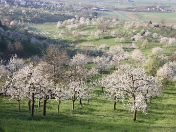 HeimatGenuss - Aktiv im Naturpark Schönbuch unterwegs 