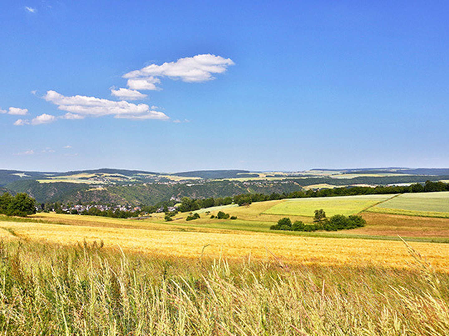 4 Tage |  Wandern auf dem Rheinsteig inkl. Lunchpaket